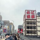 돈키호테-무식한 소 | 오사카 난바 도톤보리 우동 맛집 츠루동탄 주말 오픈런 후기! (자루우동,돈까스카레우동)