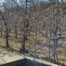 구룡부동산중개인사무소 이미지