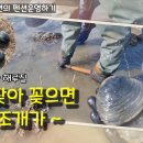 안면도덤앤더머 이미지