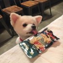 박효리군동물병원 이미지