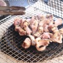 바다산꼼장어 이미지