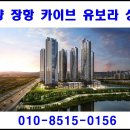 카이브 이미지