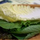 상동야채