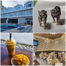 공부는 망치다 | 스쿠버 다이빙샵 숙박 후기🤿 | 4.5박+레이트 체크아웃...맛도리 조식+중식 9끼 | 귀여운 해머와 망치🐶