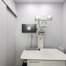 스텔라동물의료센터 이미지