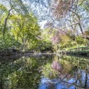 삼풍농장 이미지