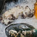 수미일관 | 제주 맛집 추천 제주공항 근처 술집 '수미일관 신제주본점' 솔직 후기