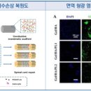 3D&BIO연구소