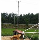 세븐스프링스펜션 이미지