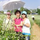 반월농협 이미지