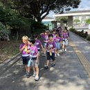 🌼제주 민속 자연사박물관 견학🌼 이미지