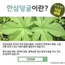 키성장 영양제 추천 어린이비타민 이아이두 키크는 고농축 환삼덩굴