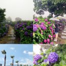 4공단로-39 이미지