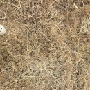 효심 태양광발전소 이미지