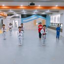 솔빛태권스쿨 이미지