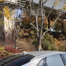 바이디짐 이미지