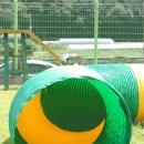 애견랜드 이미지