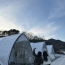 청도할인마트 | 청도 키즈 풀빌라 경북 청도 여행 펜션 숙소 하늘위리조트글램핑