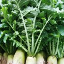 용무농장 이미지