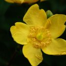 광주체육고등학교 이미지