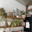 힐 스프링 | 부산 해운대 달맞이길 브런치 추천 - 조용히 쉬기 좋은 힐링 카페 <스프링 힐>