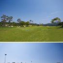 신창기업(주) 발리오스승마장 이미지