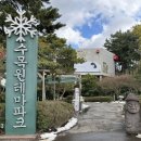 수목원테마파크 | 제주공항근처 실내 아이랑 가볼만한곳 수목원테마파크 후기(아이스뮤지엄 얼음썰매+3D+5D+VR체험)