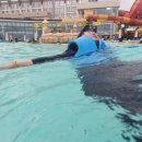 제주 나르샤펜션 이미지