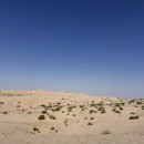 타이어브라더스 | 마이리얼트립 아부다비 사막투어 오후 후기 혼자 레이오버 당일치기 여행 내돈내산 후기