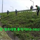 남항진동 이미지