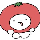 싱싱생막창