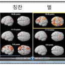 공부의욕, 아이의 사춘기를 대비하는 힘 | [김영훈교수] 세바시 306회 공부의욕, 아이의 사춘기를 대비하는 힘