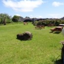 남원읍-90 이미지