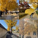 효자로 L 이미지