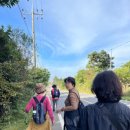 동광리-9 이미지