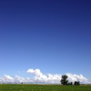 구름따라 이미지