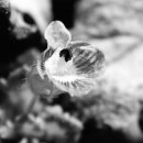 모우목장 이미지