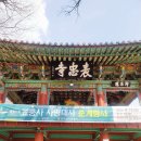 표충사 | 주말 여행: 계곡과 산, 자연 속 여유 &#34;밀양 표충사&#34; 정보 및 후기