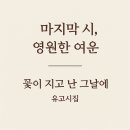임병철 Daum카페