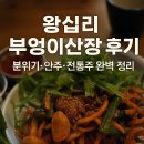 감성술집 티스토리