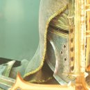 천상의 보금자리 이미지