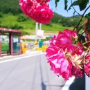 하울펜션