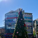 오리어린이공원(어64) | 부산 어린이대공원 동물원 놀이터 백양산 산책 등산 코스