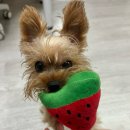 ㈜신기사 이미지