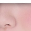 플럼?따뜻한 플럼색 좋아하는 도토들은 이니스프리 블러셔 13호를 사시노 이미지
