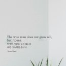 오늘의 '영어 명언'(139강) 빅토르 M. 위고(Victor Marie Hugo) 이미지
