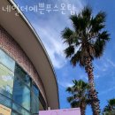 네일더예쁜푸스온탑