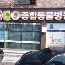 도안 ECO 종합동물병원 이미지