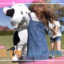 일모목장 이미지