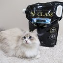 주식회사 카디날코리아 | [고양이 화장실] S-CLASS 먼지 없는 벤토 모래 // 포레스트그린 사용 후기 및 리뷰